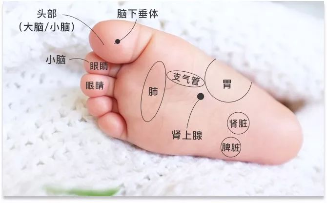 宝宝脚这么长,选多大?