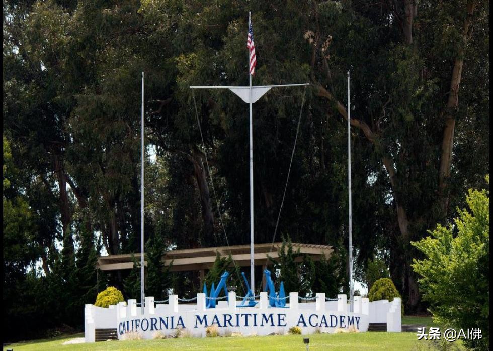 美国50所高性价比公立大学