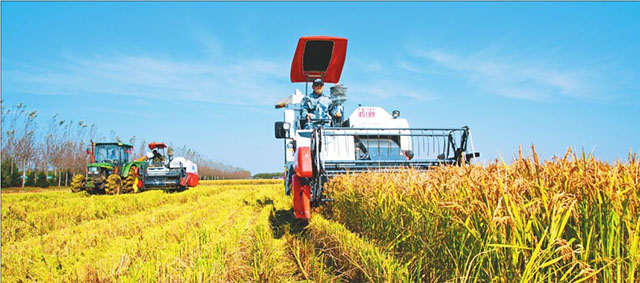 温铁军：中国不能实行农村土地私有化，农业问题不能单拎出来考虑