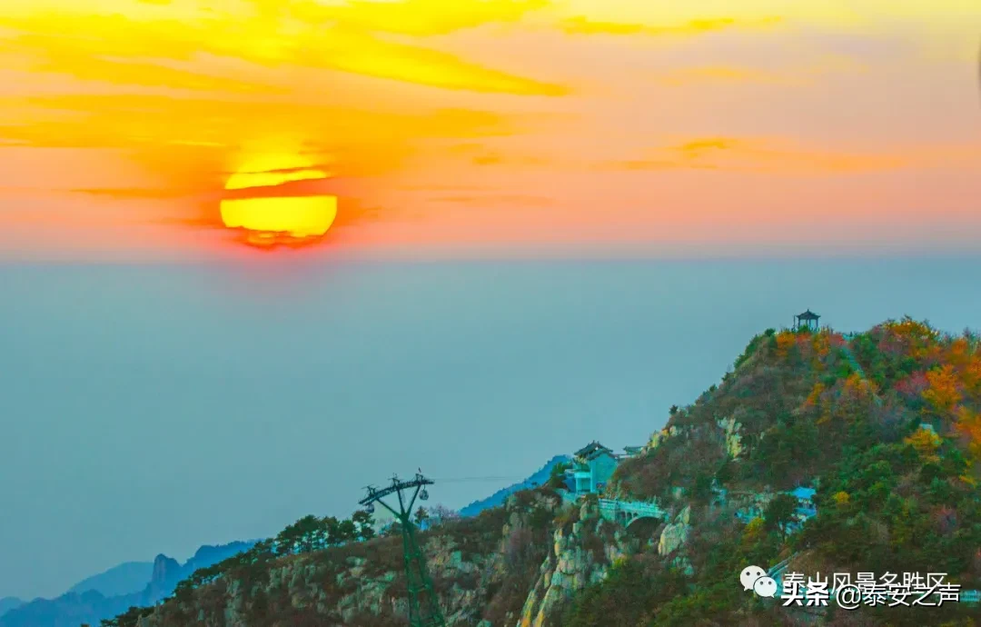 深秋泰山：一年好景君须记，最是橙黄橘绿时