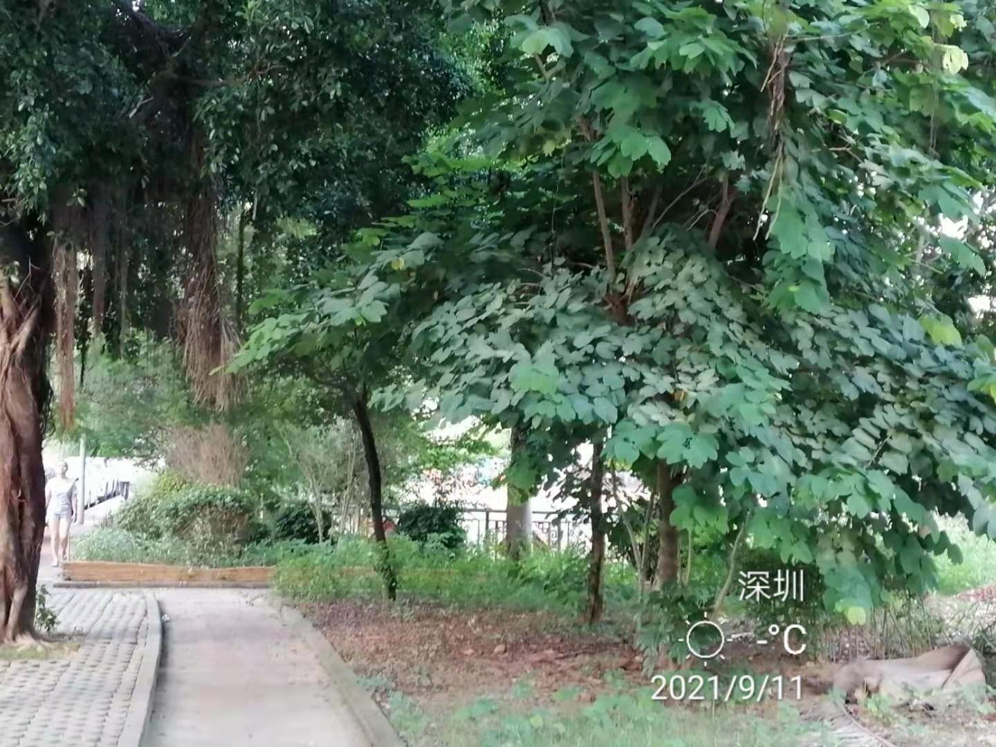 北京信用卡还款,北京信用卡还款时间