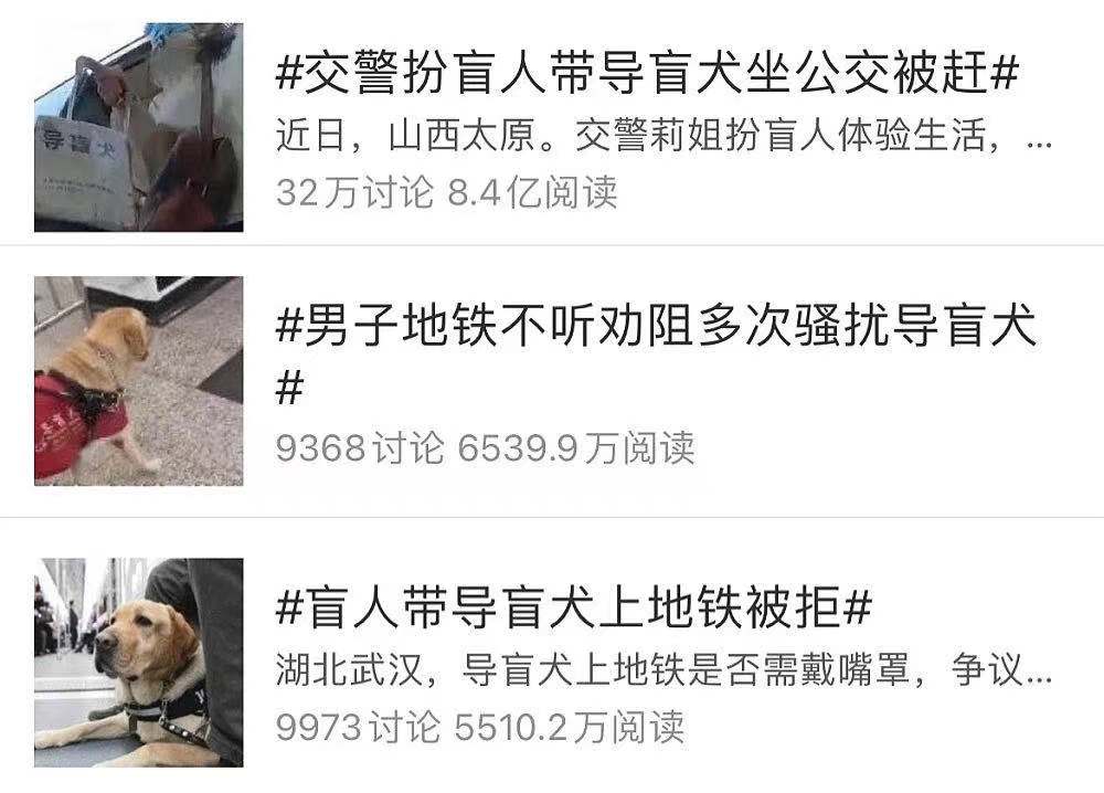 什么是2000万人关注的导盲犬基地？在这里，狗和志愿者才是主角