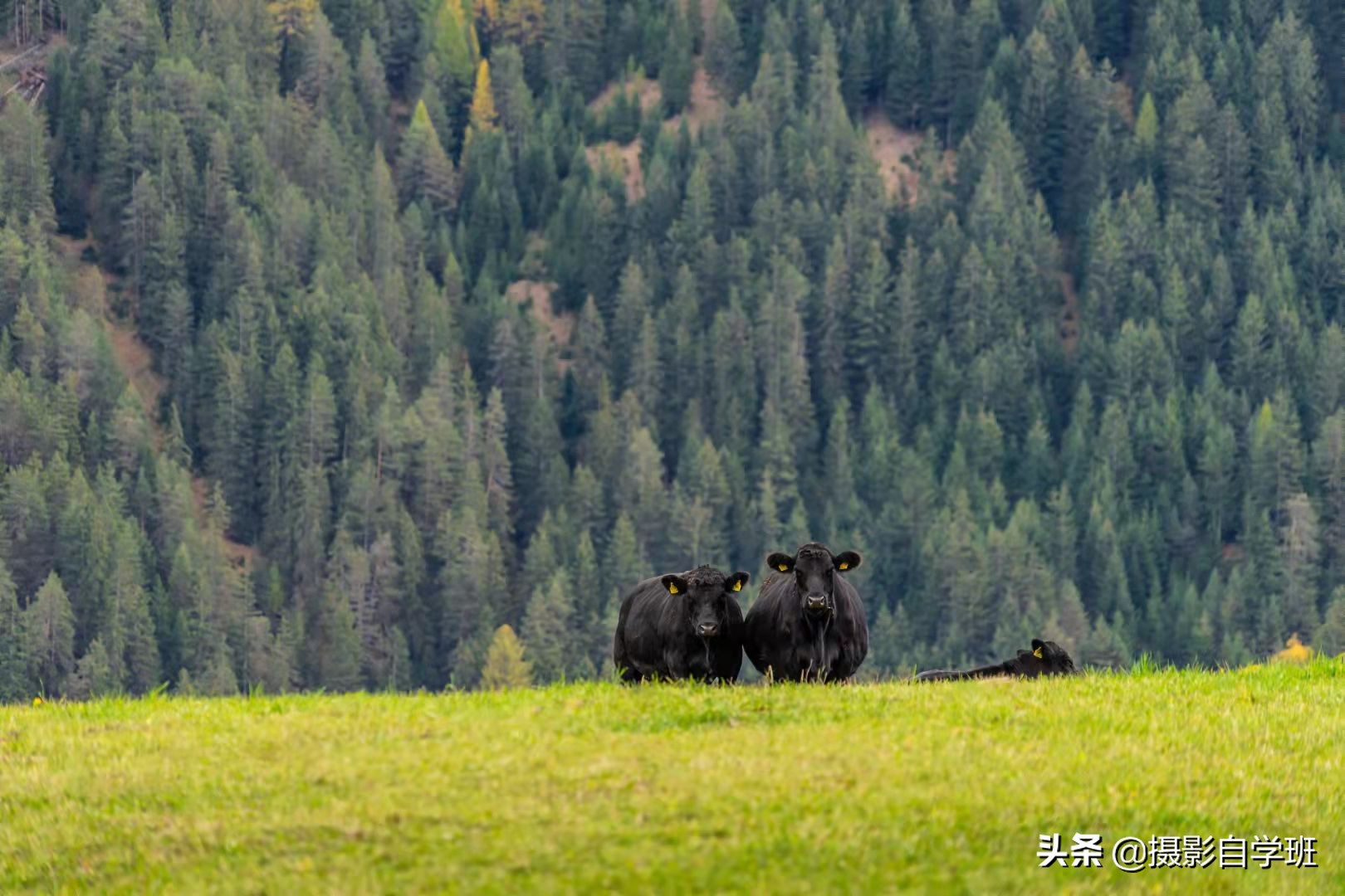 拍风景的10个好用摄影技巧，不再浪费美景，帮你轻松拍出大片