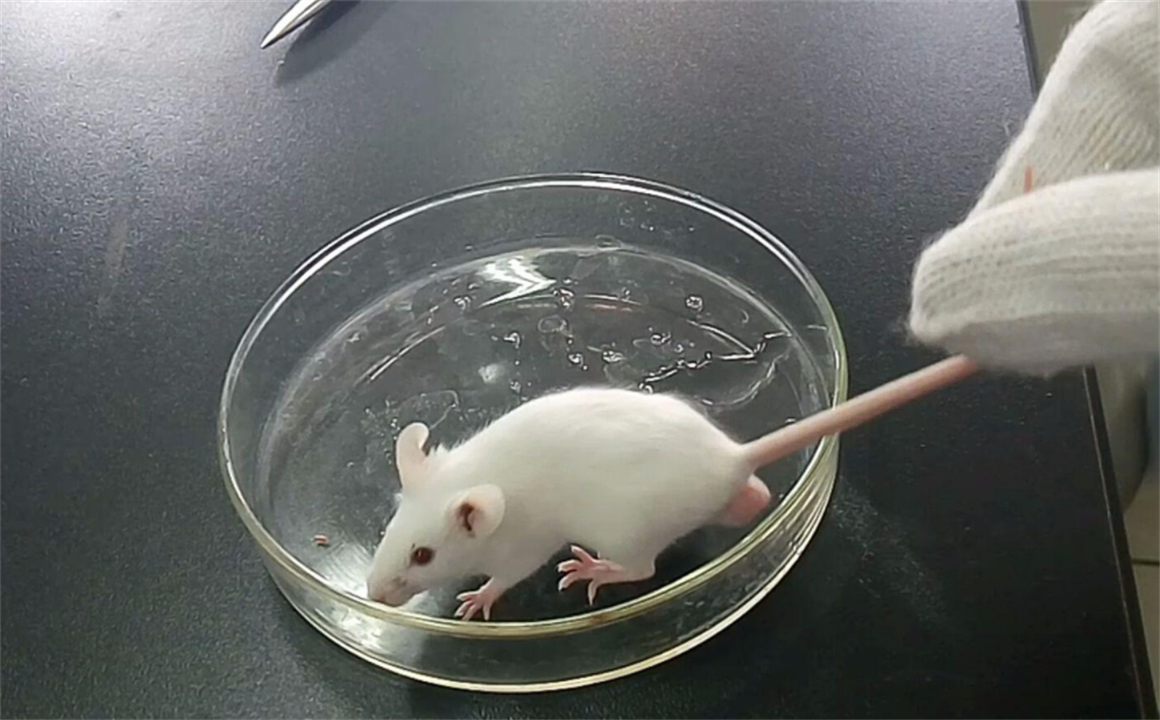 为了永生，科学家给自己注射350万年前的细菌，如今怎么样了？