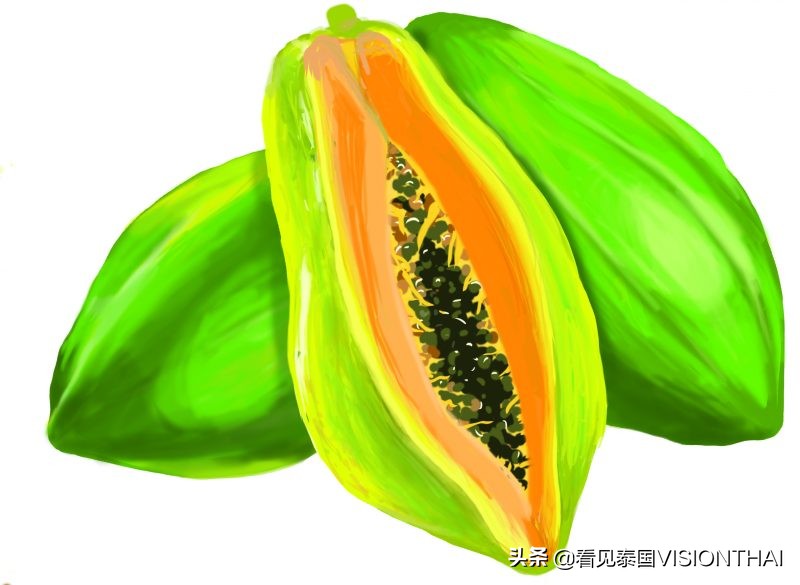 认识13种泰国水果：山竹、榴梿、 蛇皮果、木鳖果、红毛丹…