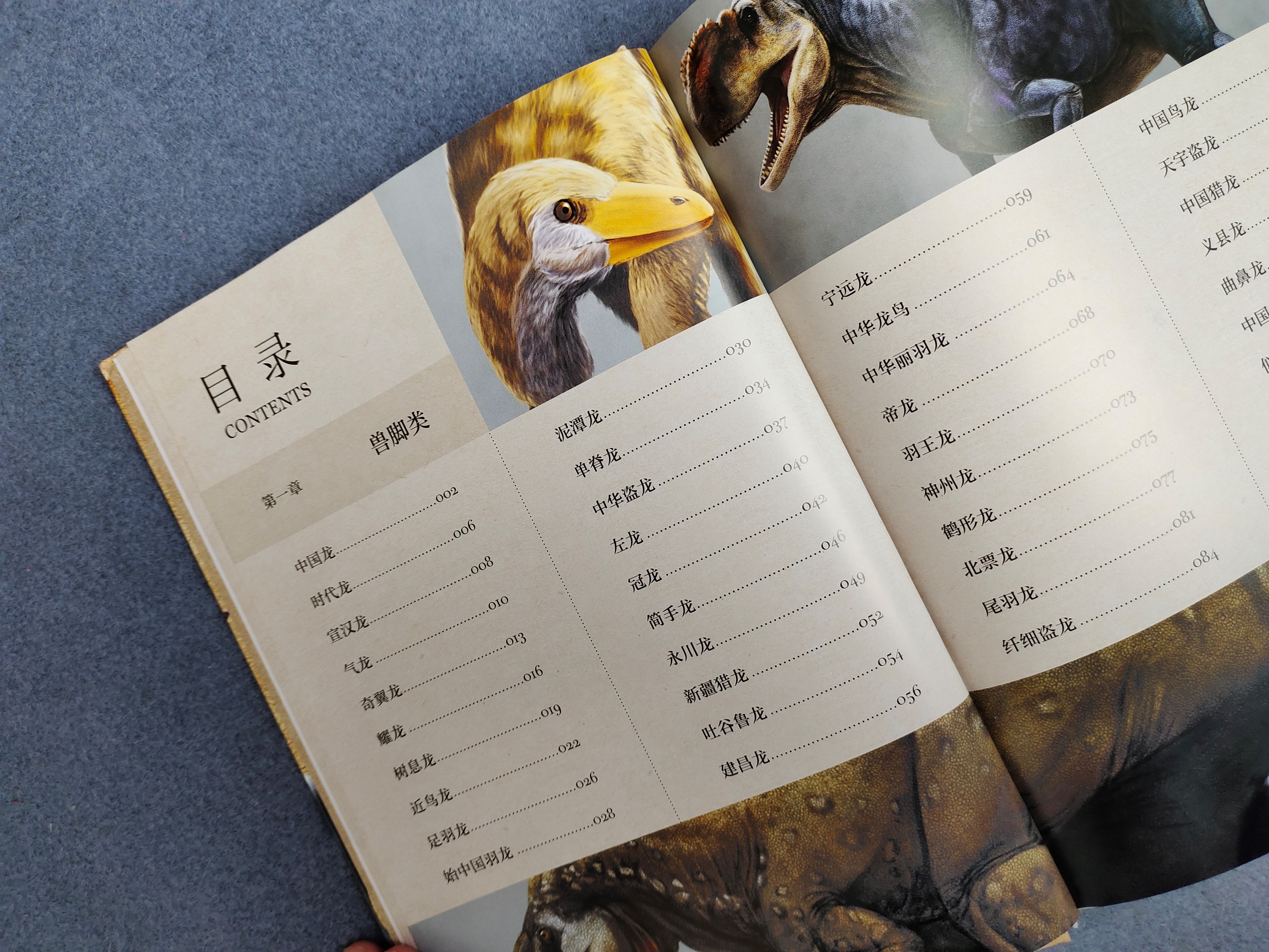 《中国恐龙博物馆》：如果孩子喜欢恐龙，别错过这本中国恐龙图鉴