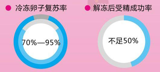 “我”想冻卵，冷冻的卵子，真的是女性生育的“防腐剂？