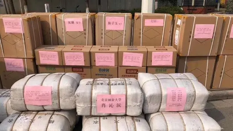 人民网全文报道！北京00后大一女生：紧急募资52万元应援一线战“疫”！