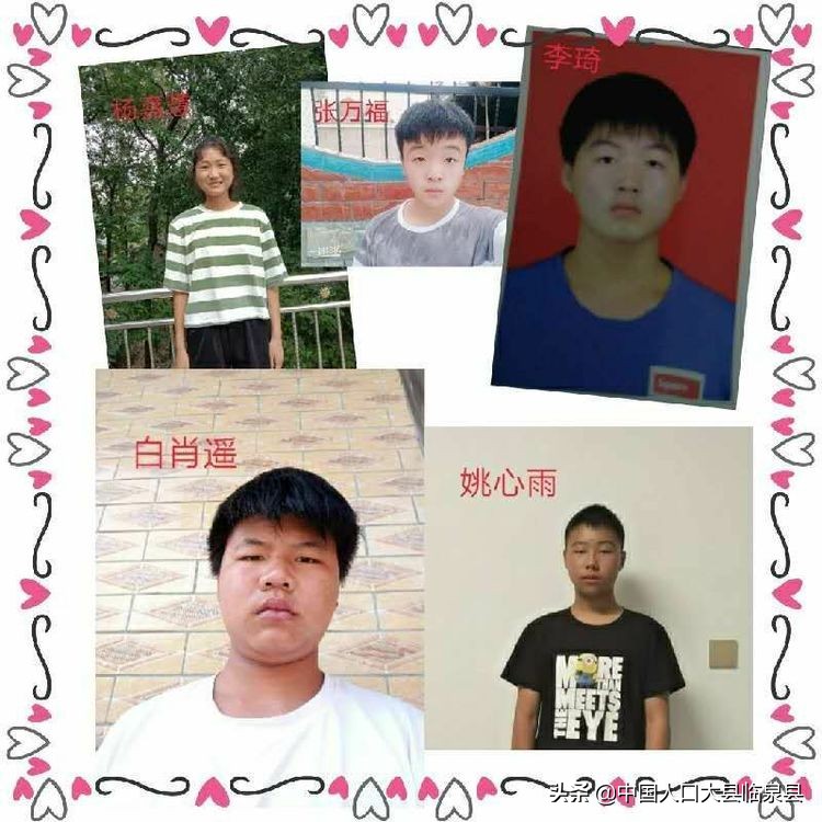 临泉县杨小街中心校2020中考喜报