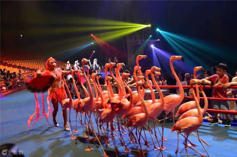 三天三夜欢乐长隆之旅（附攻略）