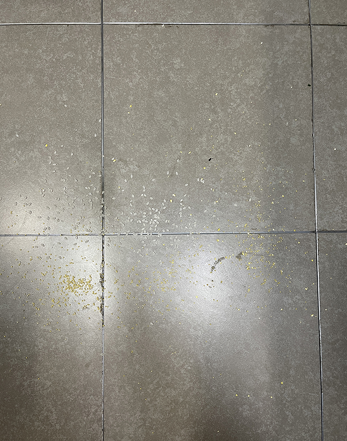 抑塵殺菌洗地機(jī) 2 Pro：99.999%殺菌的洗地機(jī)，進(jìn)來了解一下？