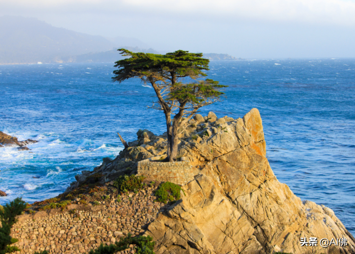 美国最好的100所寄宿学校