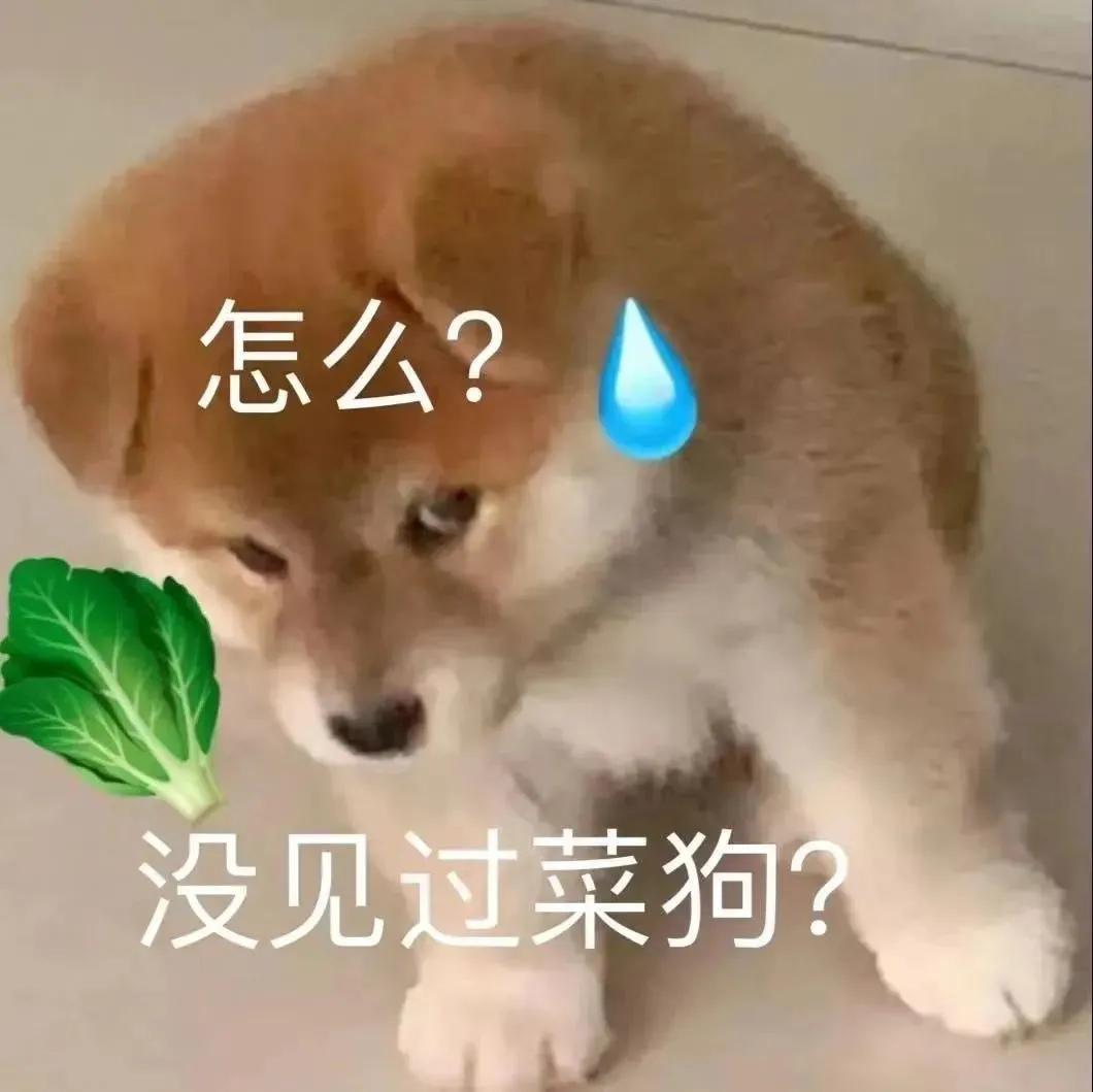 表情包：我可是很凶的嗷