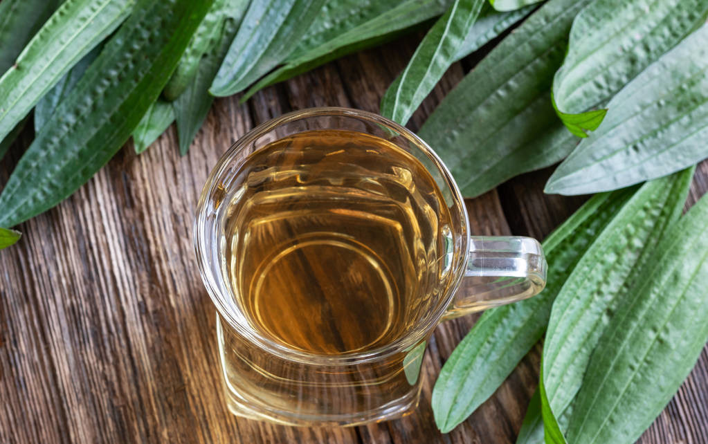 茶籽油价格昂贵，种植户为何多不愿种？