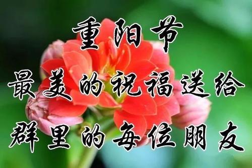 重阳节快乐表情包合集