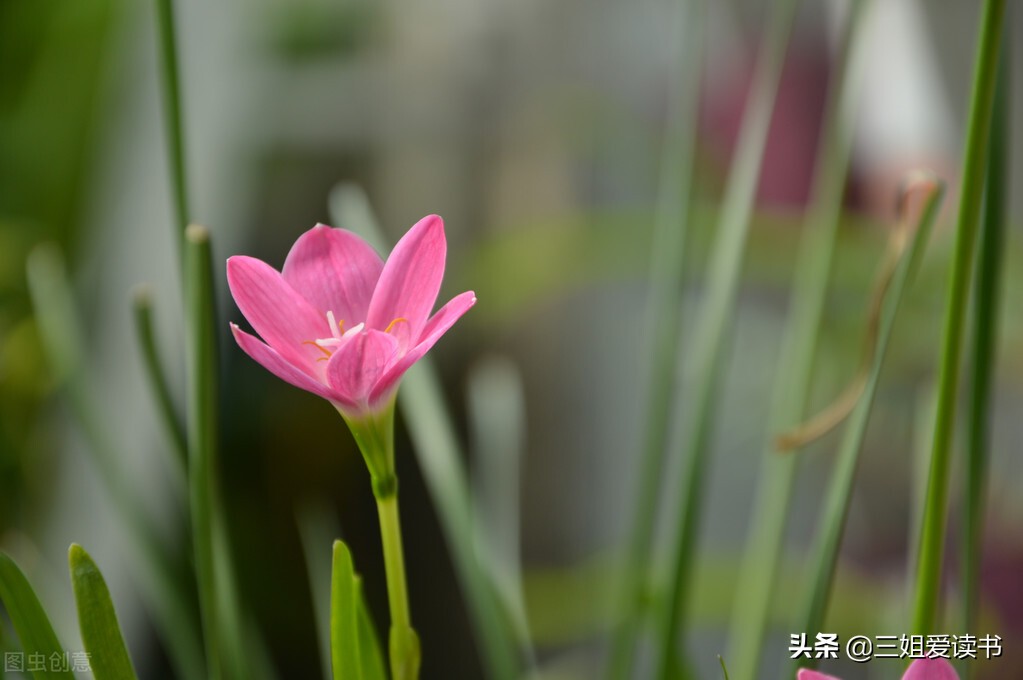 明确的拒绝，可能会得罪人一时，但是含糊其辞只会让你更痛苦
