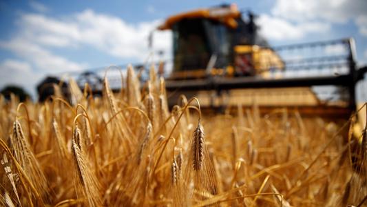 大麥還沒賣出去，小麥就被馬來西亞查扣，澳大利亞被制裁了？