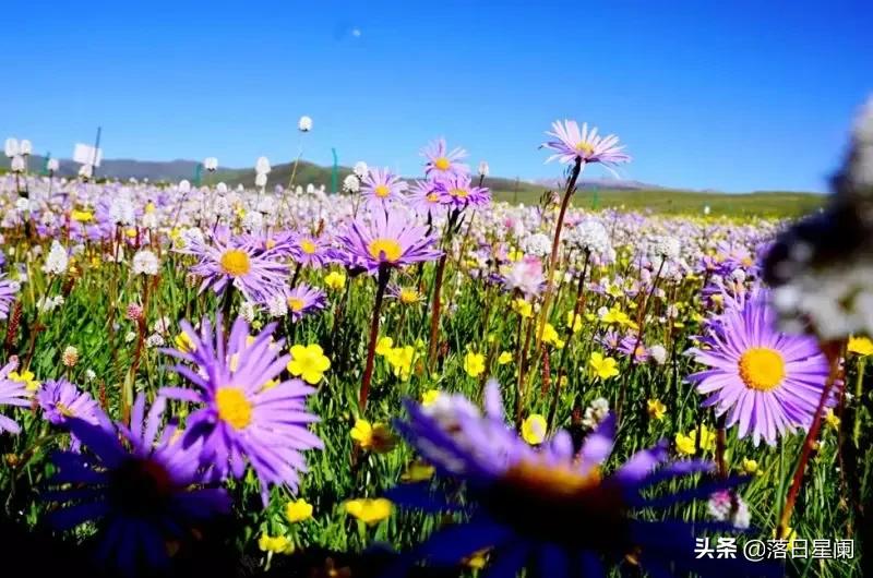 烟雨流年似梦，人生短暂如朝露，岁月匆匆不待人。