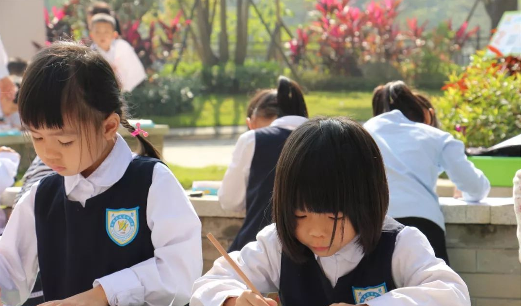 孩子的事儿无小事，公立学校和私立学校选哪个好，多方比较不吃亏