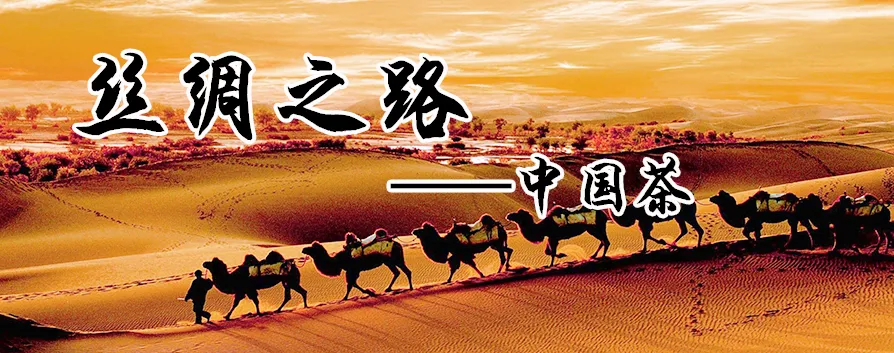华春莹说民主不应是可口可乐插图8 民主不是可口可乐的深层内涵,你理解到第几层?