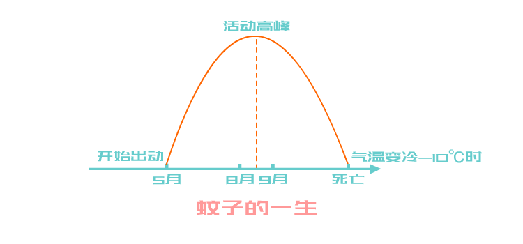 夏天到了，蚊子喜欢盯着宝宝咬怎么办？