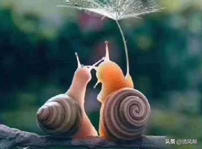 送老公的生日祝福语简短 浪漫的生日祝福与老公图片