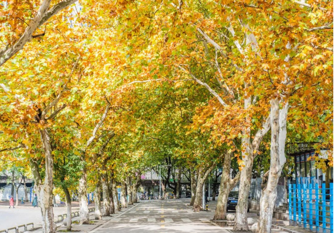 高考结束了？快来看看中南大学吧！