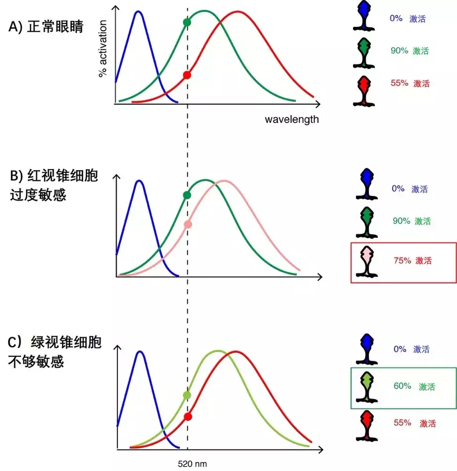 如何让色盲患者看见颜色