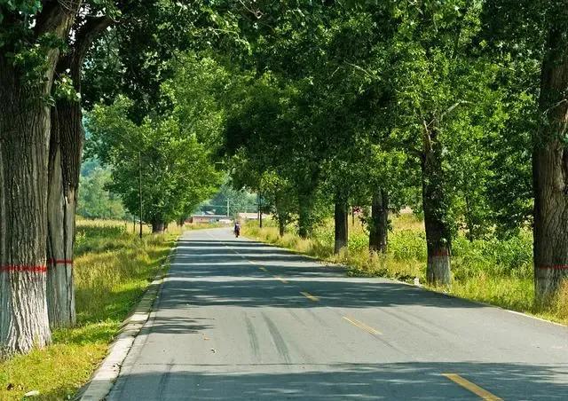 赏秋时节 </p><p>　　 打卡京郊这10条乡村公路，藏着北京最美的秋天
