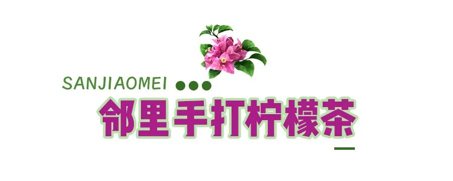 马住！继蓝花楹之后，昆明又添一网红打卡点