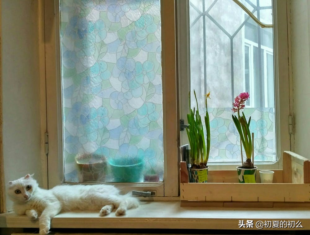 物是人非的伤感句子 | 你说，时光不老，我们不散