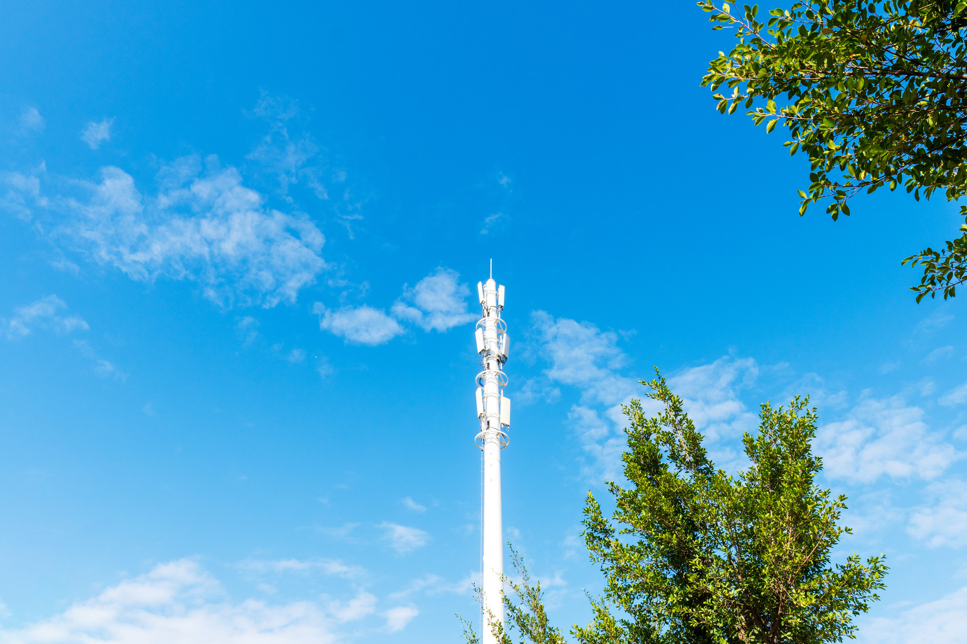 国家需要、收入很高，电子信息工程专业备受关注