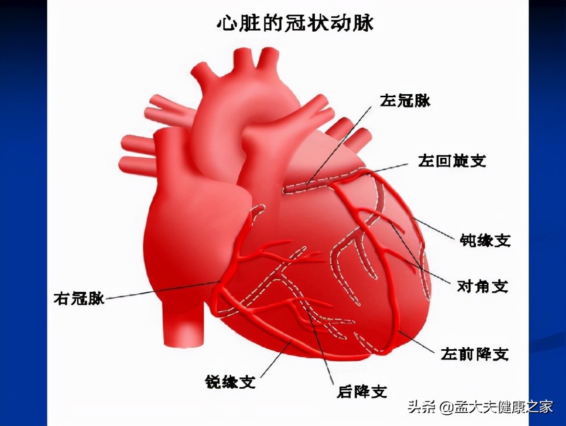 冠心病,心絞痛根在血脈不通,2個成藥理氣活血化瘀,保護心血管