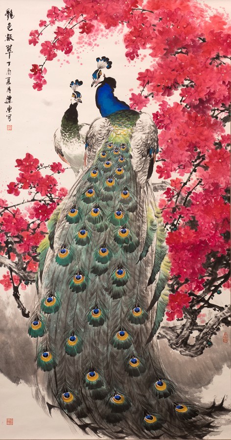 孔雀东南飞！高贵、冷艳的白孔雀