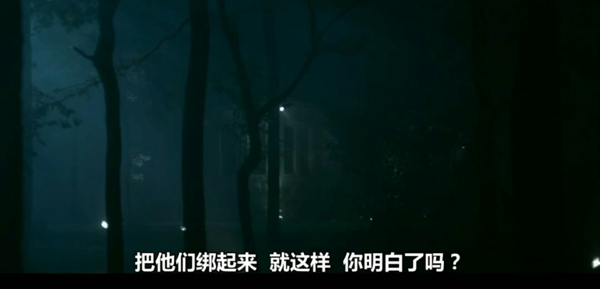 漫长的夜晚危机克服了夜晚（2020年）