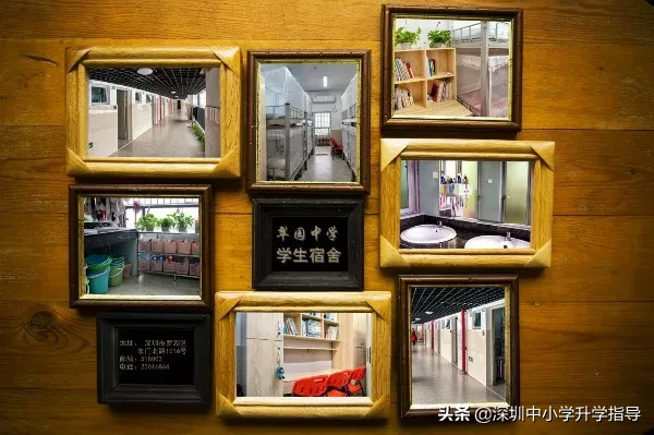 深圳高中8大名校食宿情况，吃住的怎么样？