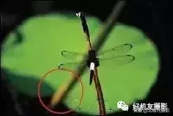 构图取景的10大禁忌