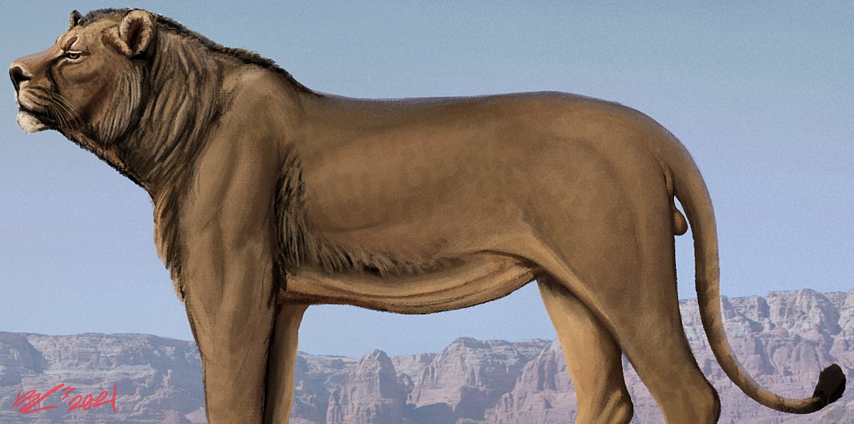 盘点10种最强大的史前猫科动物,洞狮仅排第7,多数能秒杀东北虎
