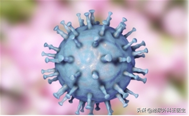 肛门摸到了小肉球，是痔疮还是尖锐湿疣？医生教你从外表就能区分