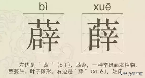 看到这些汉字，我感觉自己的语文白学了