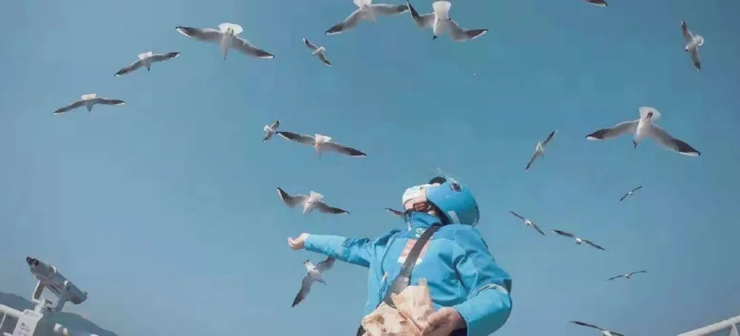 阿里本地生活换帅换队形再战美团，饿了么与飞猪、高德编成一队，蜂鸟配送还有可能赢美团配送？