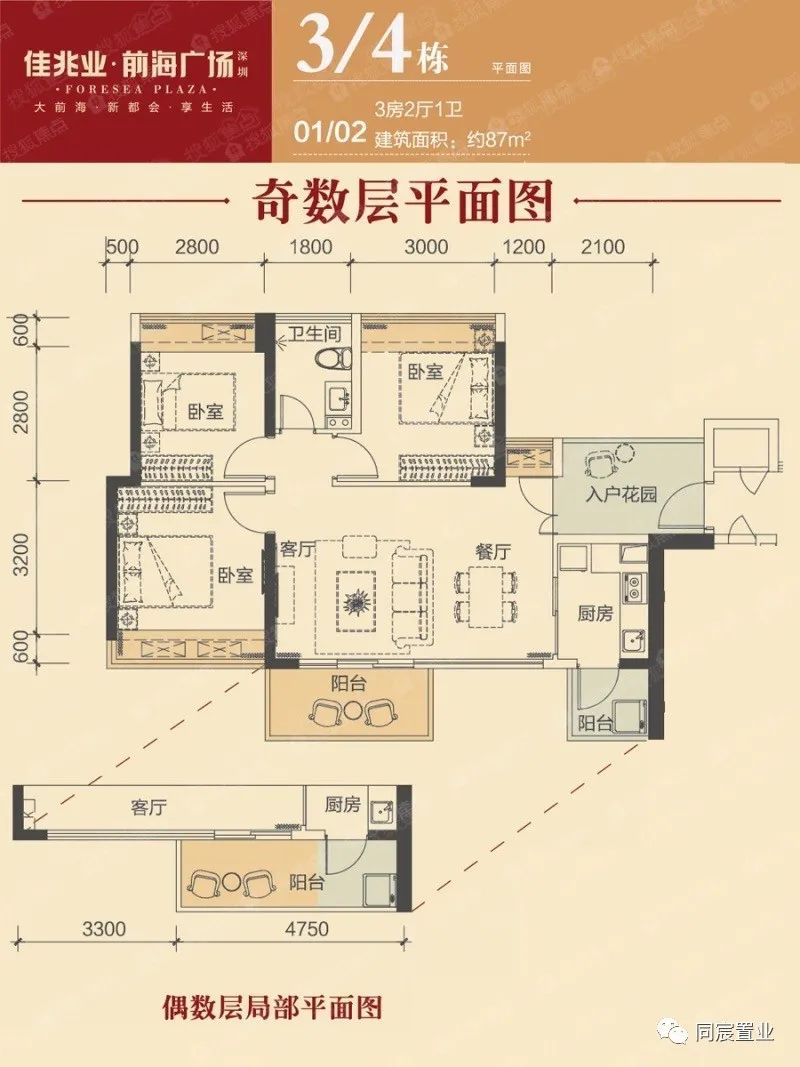 深圳大学优秀生源基地，深大附属教育集团(下)