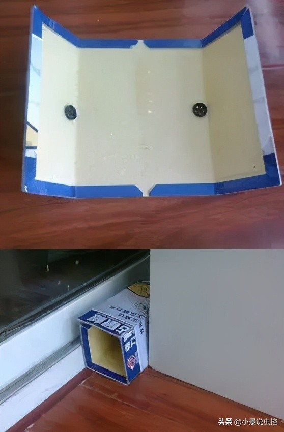 小景告诉你：粘鼠板粘不到老鼠的原因