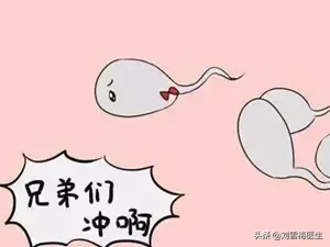 生男生女有妙招吗？照这个备孕攻略做，怀孕生子水到渠成