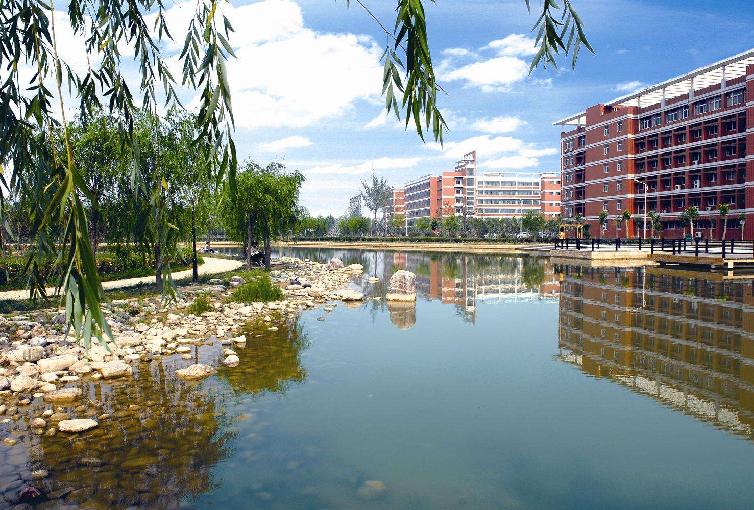 郑州师院、周口师院和商丘师院三校录取分数线对比，郑师已经反超