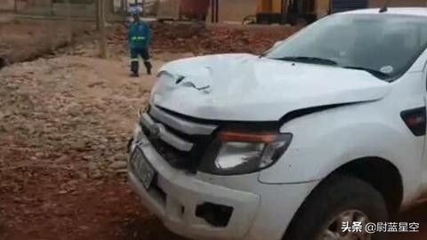千万不要惹河马，路边袭击汽车，还一口咬死救命恩人