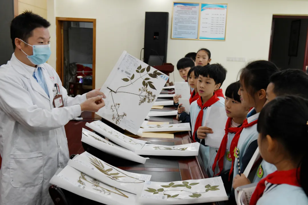 世界传统医药日：感受中医药魅力 弘扬中医药文化