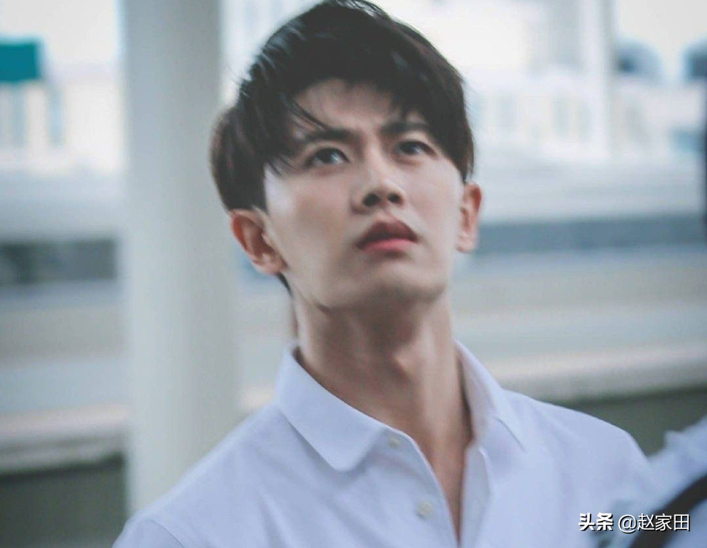 今日推文｜5本质量高的言情文推荐，文笔佳记得收藏