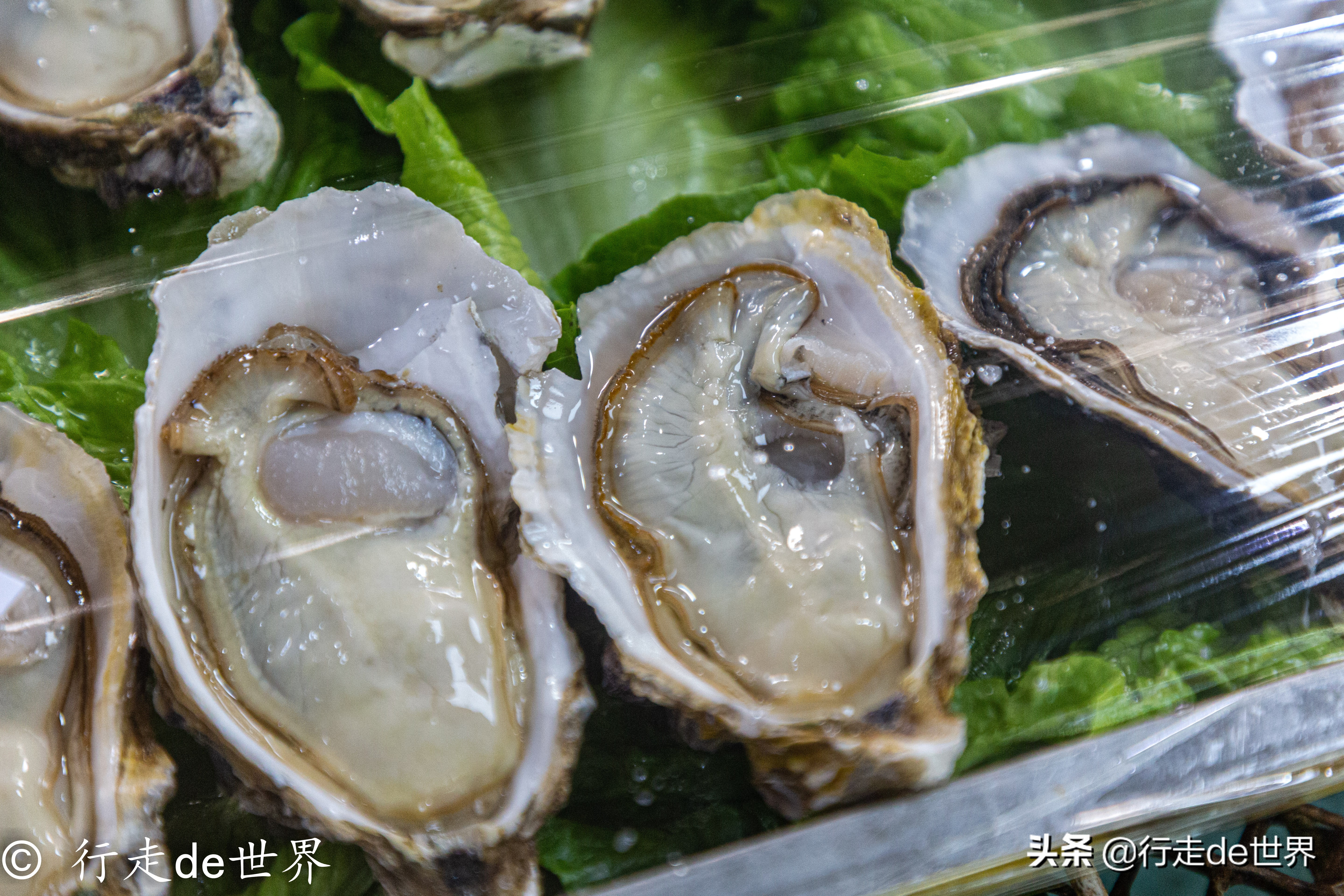 国庆假期相聚顺德，一次性打卡六家餐厅，品味地道顺德味道