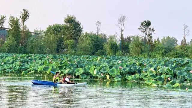 武汉国庆郊游攻略出炉，50多个好玩的景点，让你嗨翻天